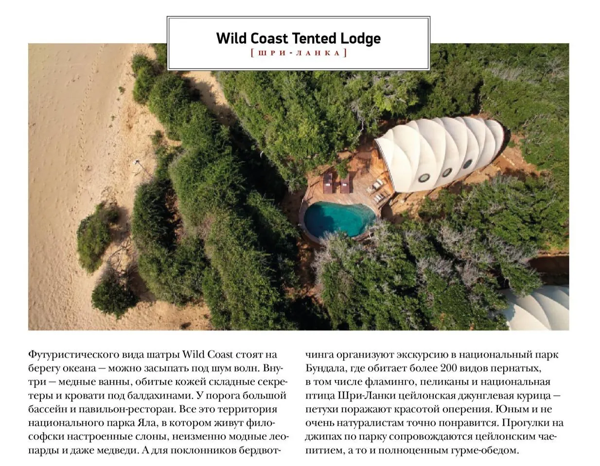 Wild Coast Tented Lodge (Шри-Ланка)